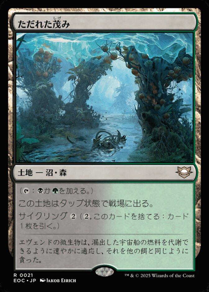 拡張)ただれた茂み/Festering Thicket [EOC] 無色R商品画像