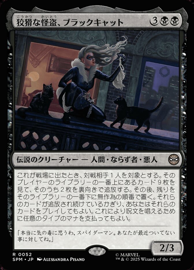 ボーダーレス)狡猾な怪盗、ブラックキャット/Black Cat, Cunning Thief [SPM] 黒R商品画像