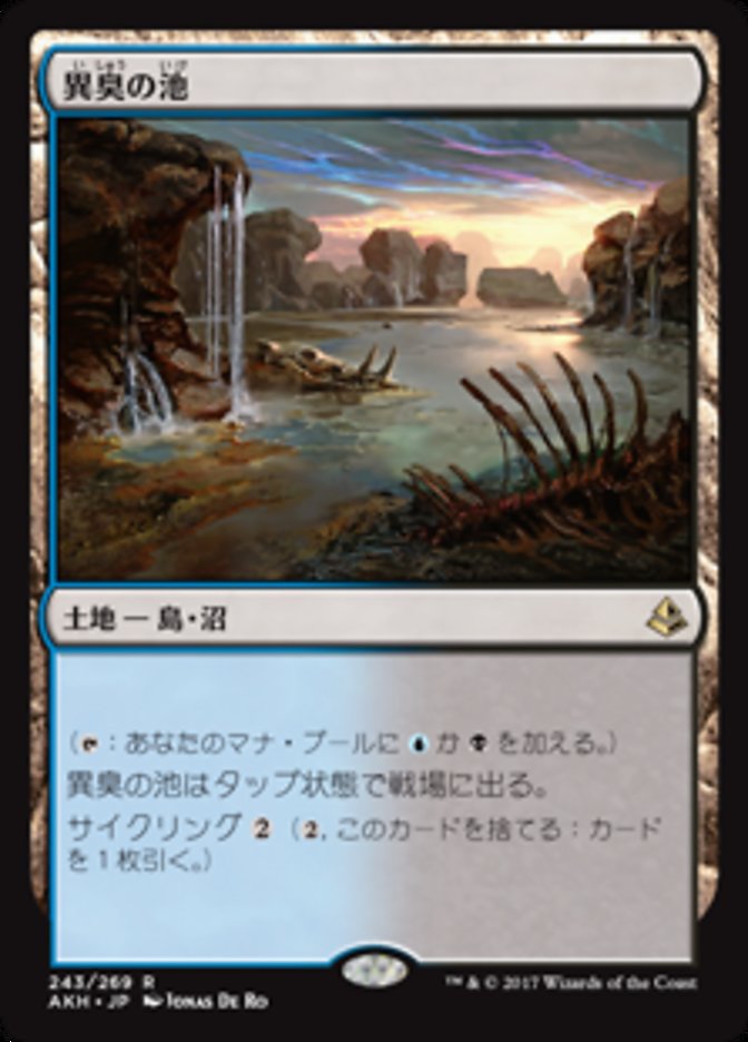 【Foil】異臭の池/Fetid Pools [AKH] 無色R商品画像