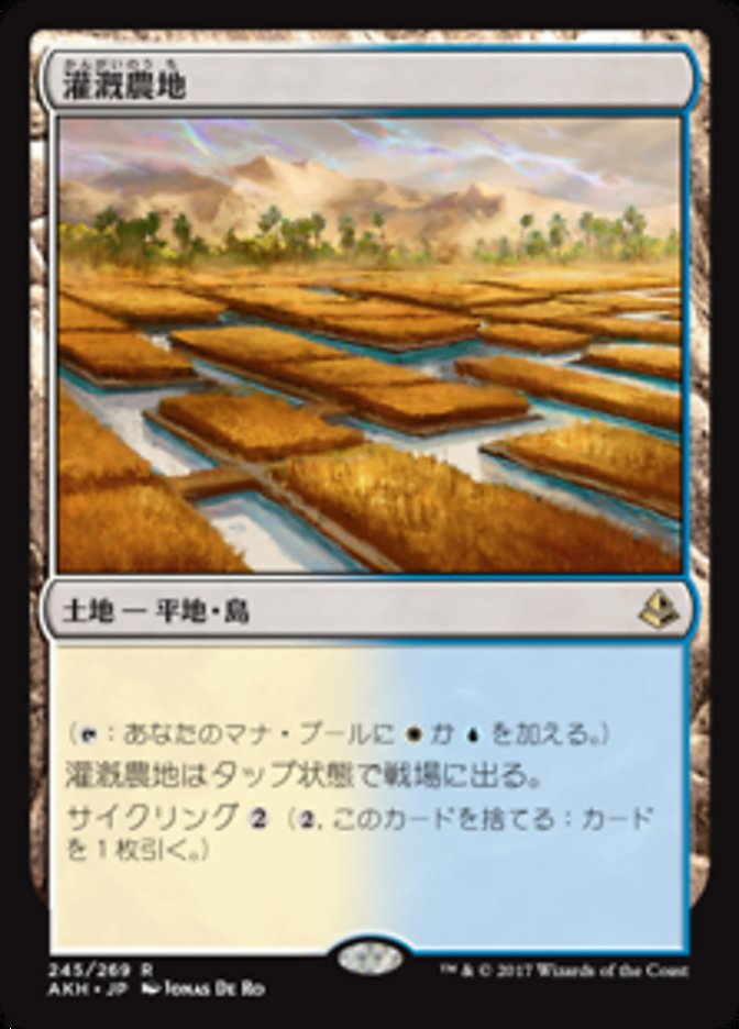 灌漑農地/Irrigated Farmland [AKH] 無色R商品画像
